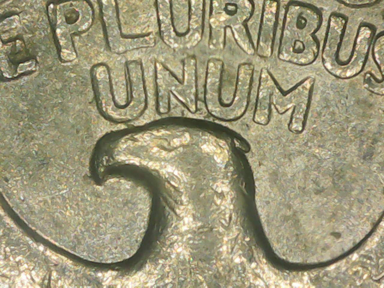 Dumb-Question-Washington-Quarter's-Eagle-On-Reverse